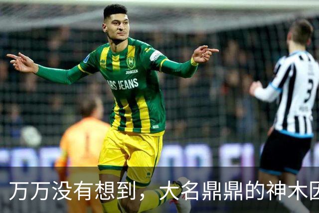 万万没有想到，大名鼎鼎的神木因为一根灯杆火了......
