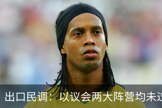出口民调：以议会两大阵营均未过半 组阁有悬念