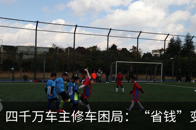 四千万车主修车困局：“省钱”变“套牢” 没有豪车命却患豪车病