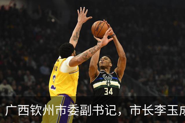 广西钦州市委副书记，市长李玉成简历