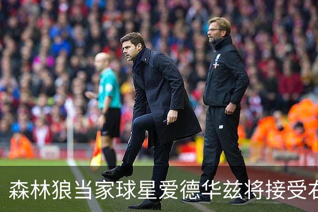 森林狼当家球星爱德华兹将接受右膝关节镜手术，预计伤停两个月，会对他的职业生涯有多大影响？球队阵容会如何调整？
