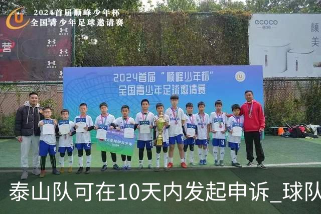 泰山队可在10天内发起申诉 球队人士也一头雾水