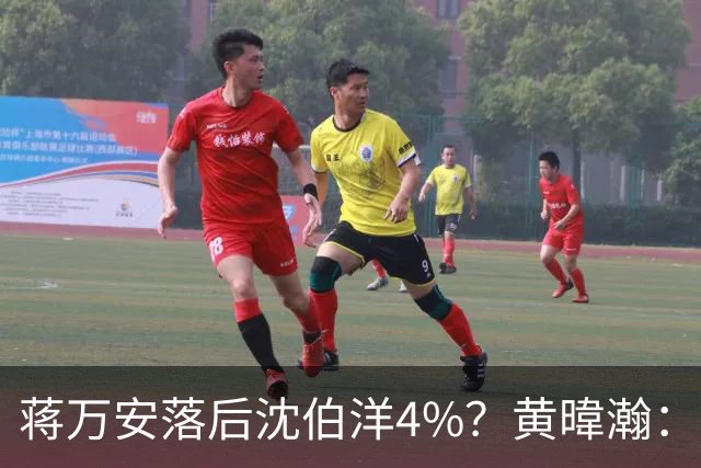 蒋万安落后沈伯洋4%？黄暐瀚：联合报民调挑动蓝营选民敏感神经
