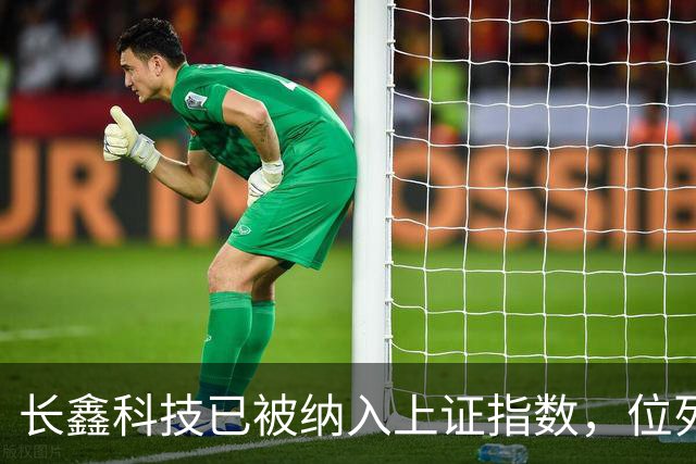 长鑫科技已被纳入上证指数，位列第一大权重股