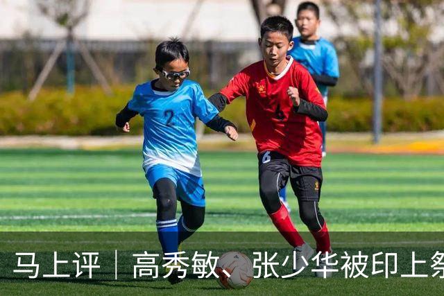马上评｜高秀敏、张少华被印上祭祀用品？缺德又违法