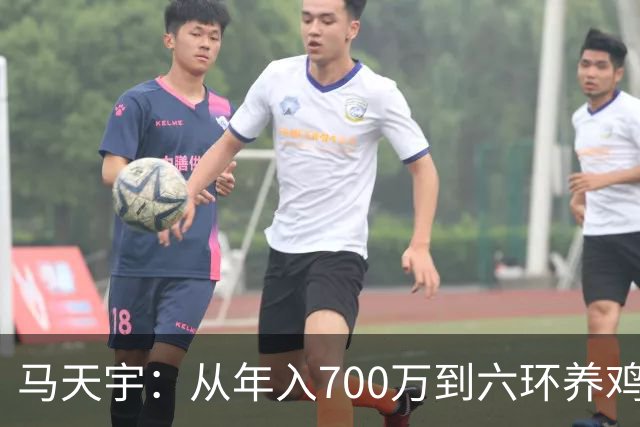 马天宇：从年入700万到六环养鸡，为何把做自己放在做艺人前面？