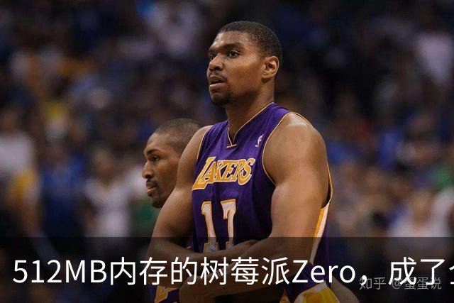 512MB内存的树莓派Zero，成了全家网络的DNS中枢